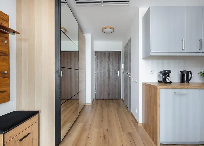 Modern Apartments With Swimming Pool In Hanza Tower By Noclegi Renters